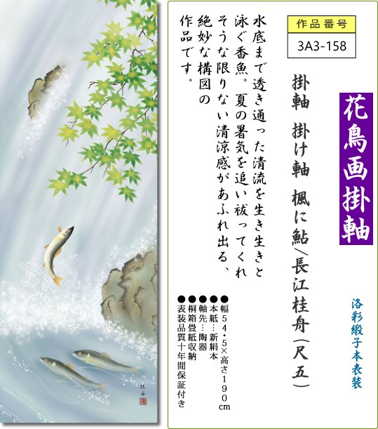 最新作の 掛軸 モダン3a3 158 おしゃれ 床の間 楓に鮎 長江桂舟 尺五 表装 掛け軸 掛け軸 Covenanthouseoftucson Org