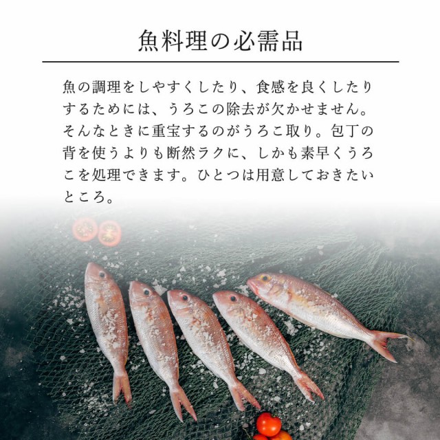 在庫セール送料無料 ウロコ取り うろこ 取り 真鍮 しんちゅう 魚 おすすめ 魚の 鱗 引き 飛び散ら ない 機 落とし さばく プロ 業務用 日本製 燕三条 ステン 光の実験観察セット キッチン 食器 調理 調理道具 下ごしらえ用品 Abconstruction Gr