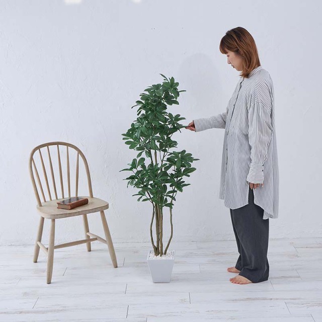 フェイクグリーン 観葉植物 約126cm カポックツリー 光触媒加工 消臭