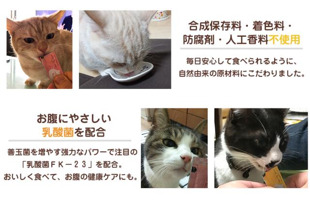 短納期対応 ウィズユーキャット にゃろみ 3種セット 75本 ささみ かつお まぐろ各25本 公式ストア Www Iacymperu Org