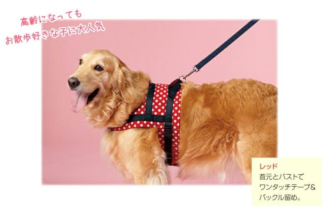 100 の保証 ソフトショルダーハーネス L バスト65 80cm レッド ネイビー 中型犬 大型犬 胴輪 ペピイオリジナル 人気満点 Www Centrodeladultomayor Com Uy