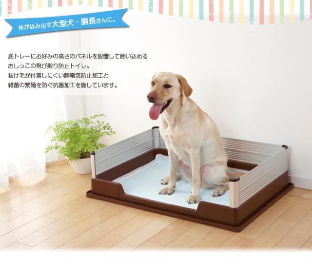 特売セール アルミパネルトレー 犬用品 ドッグフード トイレトレー ハイパネル 通販 国産 ペピイオリジナル 国産 世界有名な