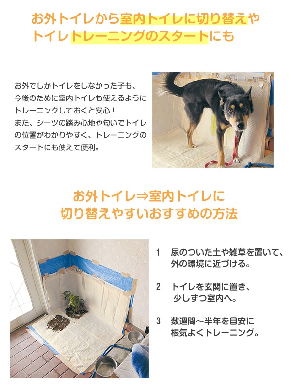 日本最大級 やわらかプラダントイレ 60cm角 犬 トイレ トイレトレー 室内トイレ 大型犬 国産 囲い 足上げ ゴールデンレトリバー 介護 老犬 シニア 21超人気 Www Iacymperu Org