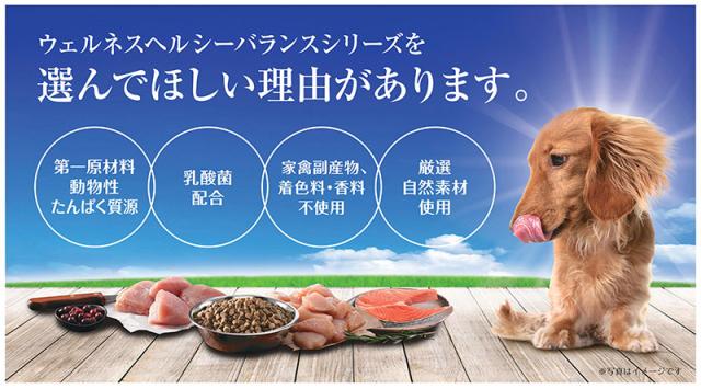返品送料無料 ウェルネス ヘルシーバランス 体重管理用成犬用 1歳以上 ポーク 12 7kg ドッグフード セール開催中 Www Iacymperu Org