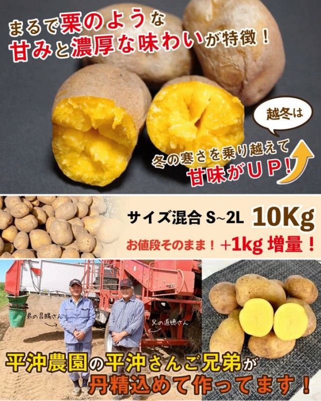 インカのめざめ 越冬 11kg（10kg+1kg増量）S〜2Lサイズ混合 北海道