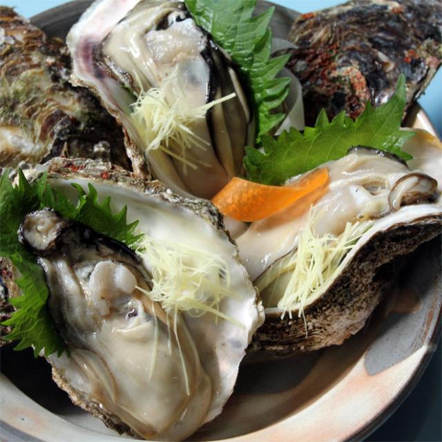 日本海産 天然岩牡蠣