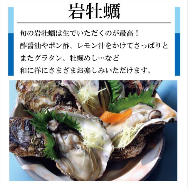 日本海産 天然岩牡蠣