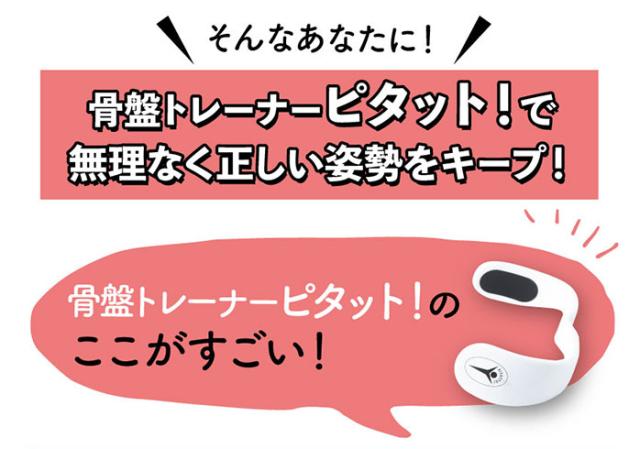 Sale 公式通販 直営店限定 骨盤トレーナーピタット 骨盤矯正器具 姿勢矯正 猫背 グッズ 座り姿勢 人気カラー再販 Carlavista Com