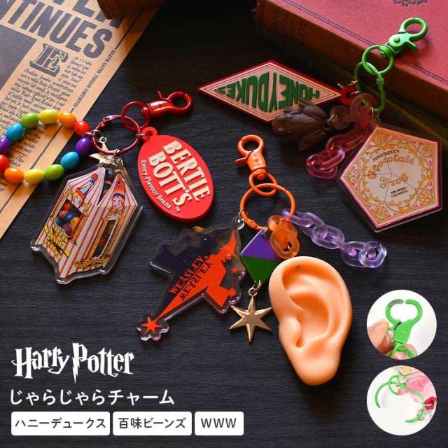 チャーム キーホルダー ハリーポッター HarryPotter キーリング