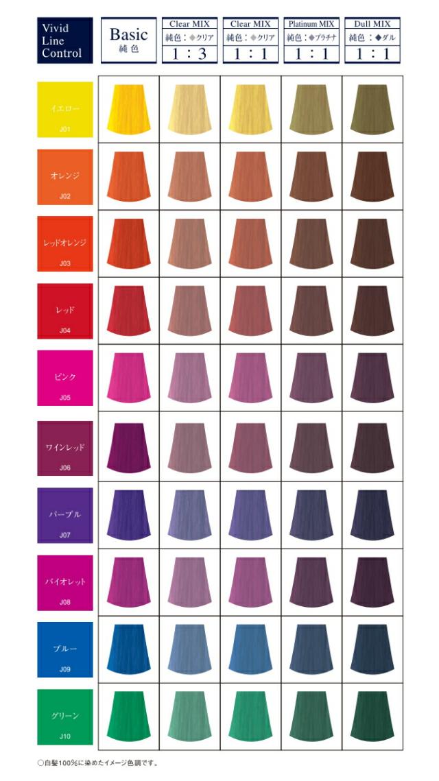 C-28。2本グベルジュバンス 弱酸性 カラーヘアカラー白髪染め