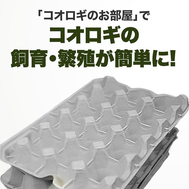 紙製 卵トレー コオロギ のお部屋 15室5枚 卵パック こおろぎ コオロギ 生餌 デュビア レッドローチ 昆虫 爬虫類 シェルター 飼育 容器  ケースの通販はau PAY マーケット - 雑貨イズム | au PAY マーケット－通販サイト