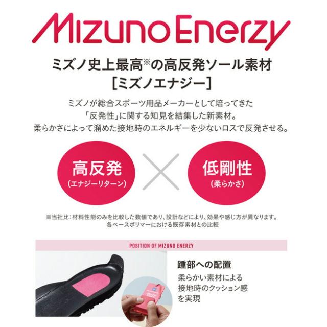 ミズノ mizuno 安全靴 作業靴 オールマイティ 【F1GA2413】 TD2 51L BOA | かっこいい おしゃれ カジュアル ボア ダイヤル メンズ レディース 大きいサイズ 履きやすい 痛くなりにくい 通気性 29.0cm 青 ピンク