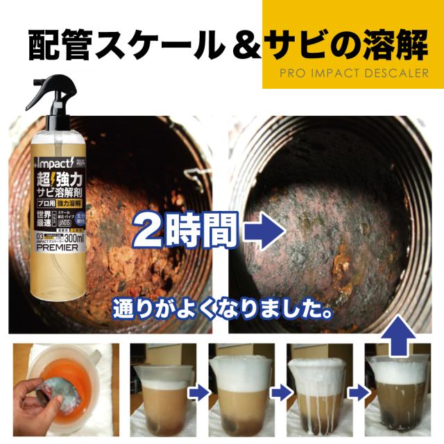 サビ取り剤 サビ落とし カルシウム スケール 除去剤 エフロ カルキ 尿石 除去剤 インパクトデスケーラー