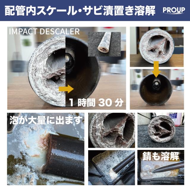 サビ取り剤 サビ落とし カルシウム スケール 除去剤 エフロ カルキ 尿石 除去剤 インパクトデスケーラー