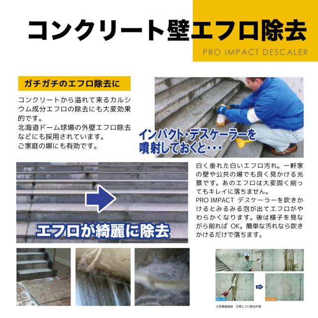 サビ取り剤 サビ落とし カルシウム スケール 除去剤 エフロ カルキ 尿石 除去剤 インパクトデスケーラー