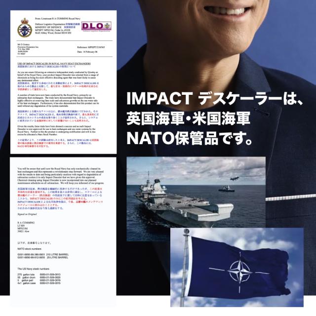 サビ取り剤 サビ落とし カルシウム スケール 除去剤 エフロ カルキ 尿石 除去剤 インパクトデスケーラー