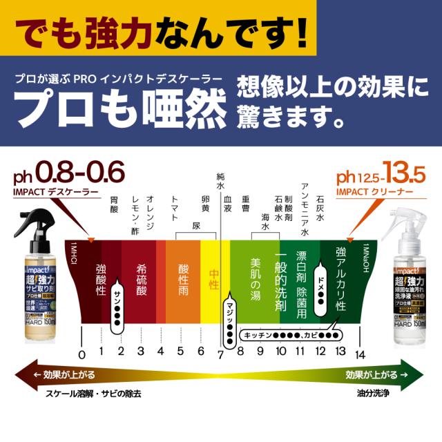 サビ取り剤 サビ落とし カルシウム スケール 除去剤 エフロ カルキ 尿石 除去剤 インパクトデスケーラー