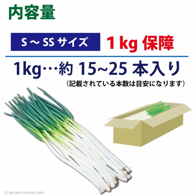 長ねぎ ねぎ 白ねぎ 野菜 福井 いひとよ 白ねぎ 1kg S~SS M~L ２L 福井