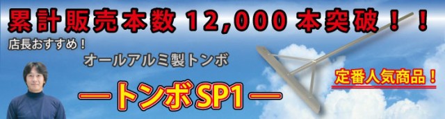 新規格 バッターボックスゲージ バッターボックス 定規 ボックスSP