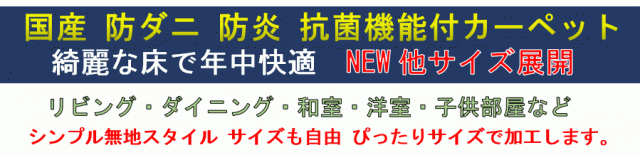 数量限定定番 カーペット ■シーマ江戸間14畳の通販はau PAY マーケット - じゅうたん、ラグ、マット専門 | 大漁カーペット au PAY マーケット店| 14畳 352×610cm 防炎 防ダニ 絨毯 じゅうたん 無地 ループ 限定品新作