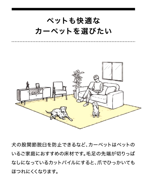 ペット用カーペット