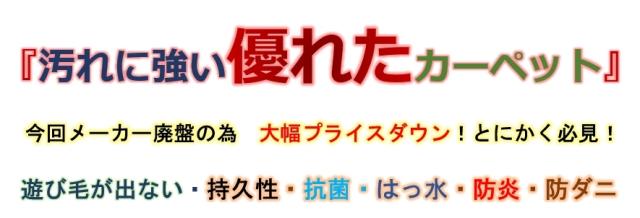 ナイロンカーペット