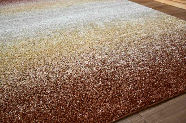 可愛いじゅうたん