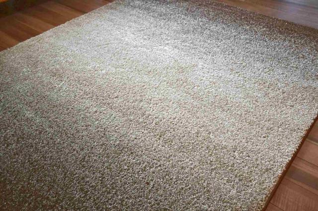 ベージュ系絨毯