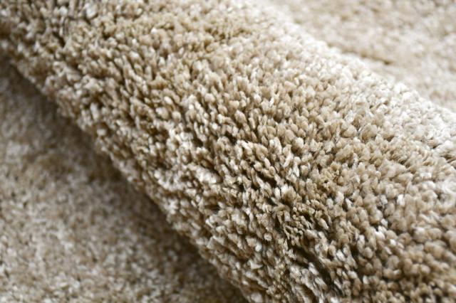 ボリューム抜群