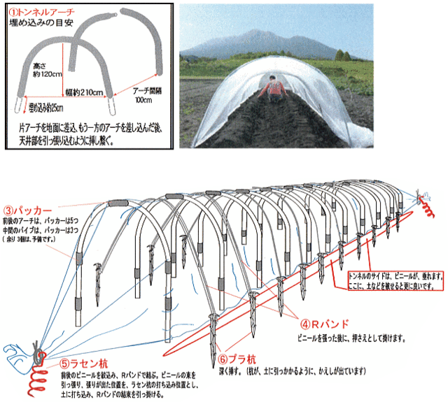 新品本物 南栄工業 大型ビニールトンネル トンネルアーチセット 2110 幅2 1m 高さ1 2m 奥行10 0m 法人様 の通販はau Pay マーケット 山蔵屋 商品ロットナンバー 国際ブランド Meaame Com