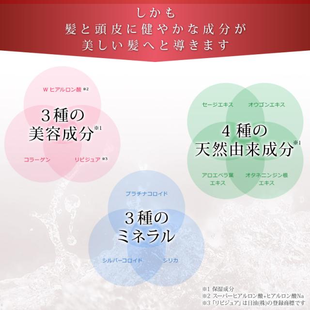 女性用増毛パウダー ヘアプラス ビューファンデ パウダー ヘアファンデーション 単品1個 薄毛隠し 白髪隠し 薄毛 白髪 ファンデ 髪 の通販はau Pay マーケット 医療用ウィッグ かつら ライツフォル 商品ロットナンバー