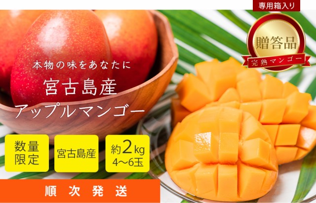 0円 2021年春の パキスタンマンゴー 世界一甘いマンゴー 1箱 10玉〜20玉 約5kg