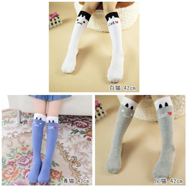 画像URL6