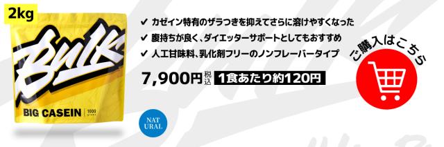ビッグカゼインノンフレーバー 2kg