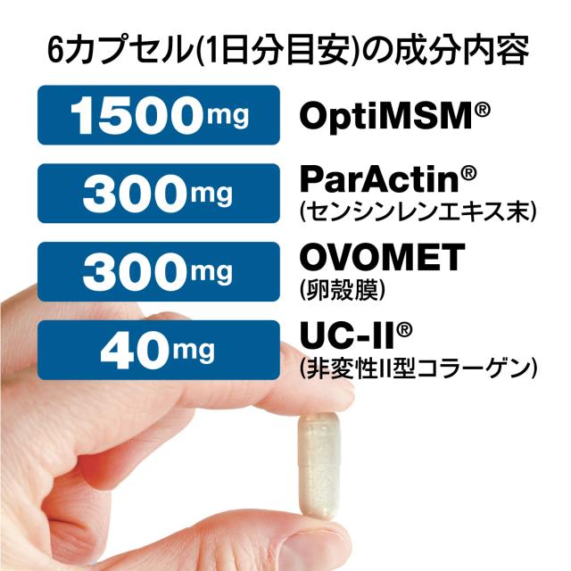AURAとは? 6カプセル(1日分目安)の成分内容 1500mg:OptiMSM 300mg:ParActin(センシンレンエキス末) 300mg:OVOMET(卵殻膜) 40mg:UC-II(非編成II型コラーゲン)