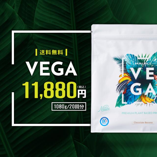 HALEO VEGA（ベガ） 11880円/税込 送料無料