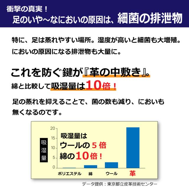 シープレザーインソール
