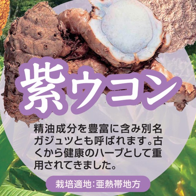 沖縄県産 チャンプルーウコン 93粒(31日分)農薬無散布栽培 250ml×93粒