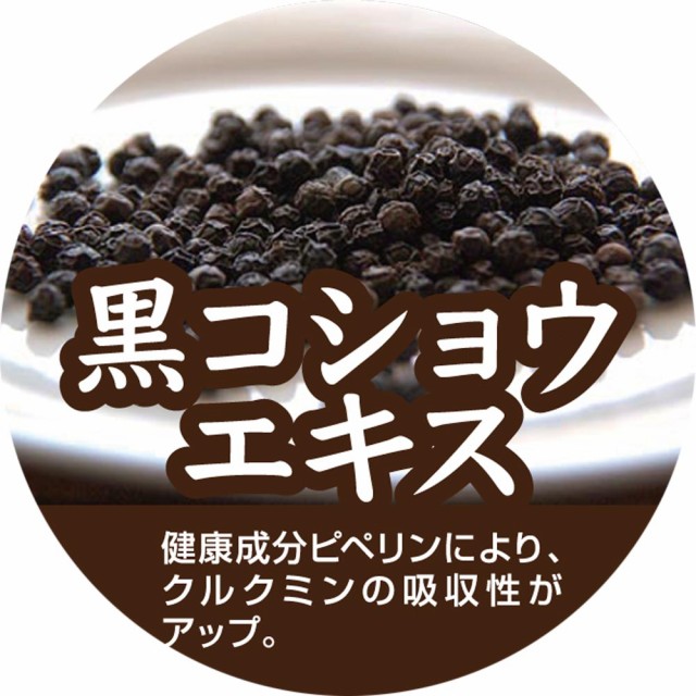 沖縄県産 チャンプルーウコン 93粒(31日分)農薬無散布栽培 250ml×93粒