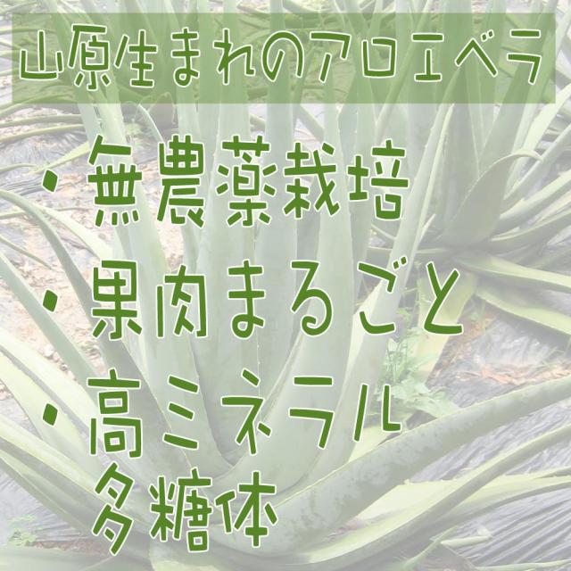 山原生まれのアロエベラジュース 720ml