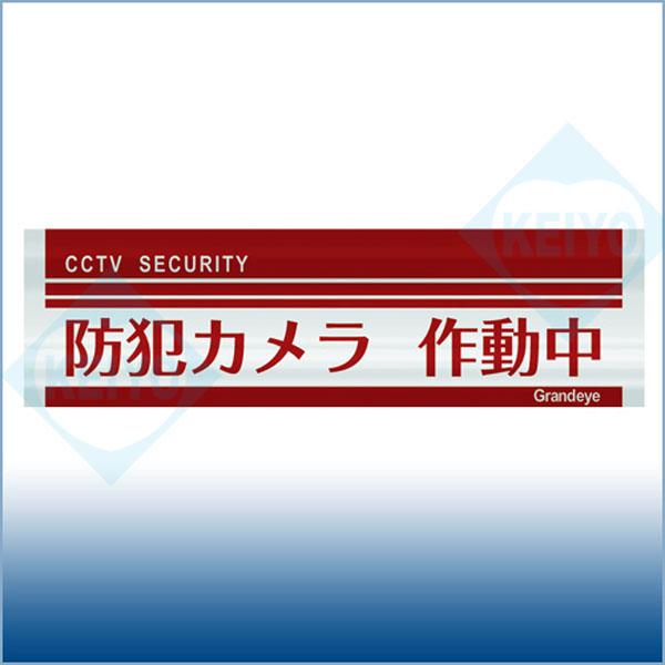 NE-000【防滴加工鏡面仕上げ横型防犯ステッカー】