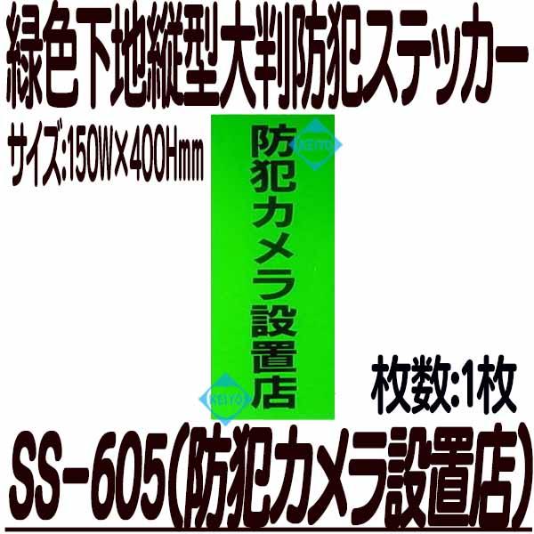 SS-605【防犯カメラ設置店】