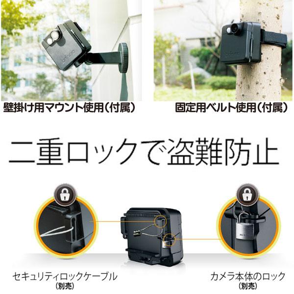 MAC200DN(ダレカ)【乾電池駆動モーション録画式屋外設置対応防犯カメラ】