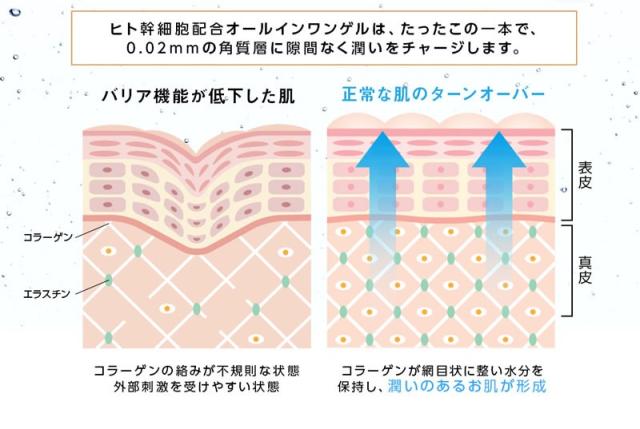 ヒト幹細胞 オールインワン ゲル