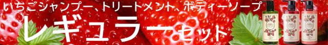 お試しセット