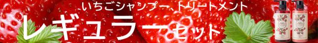お試しセット