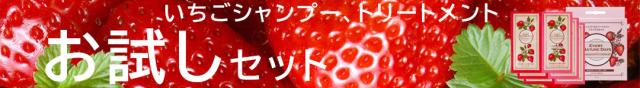 お試しセット