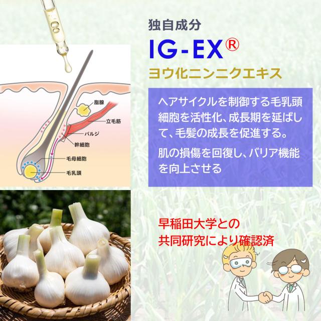 育毛 養毛 発毛 薄毛 脱毛 抜毛 ローション 化粧水