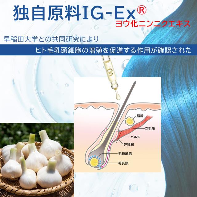 育毛 養毛 発毛 薄毛 脱毛 抜毛 ローション 化粧水