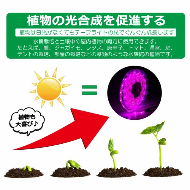 植物育成ライト 5m 2個セット LED植物用 LEDテープライト 植物成長促進 光合成 促進 防水 USB対応 LEDテープ 植物育成ランプ  家庭菜園 室内園芸 野菜 SODATUの通販はau PAY マーケット - KURANO-ONLINE | au PAY マーケット－通販サイト